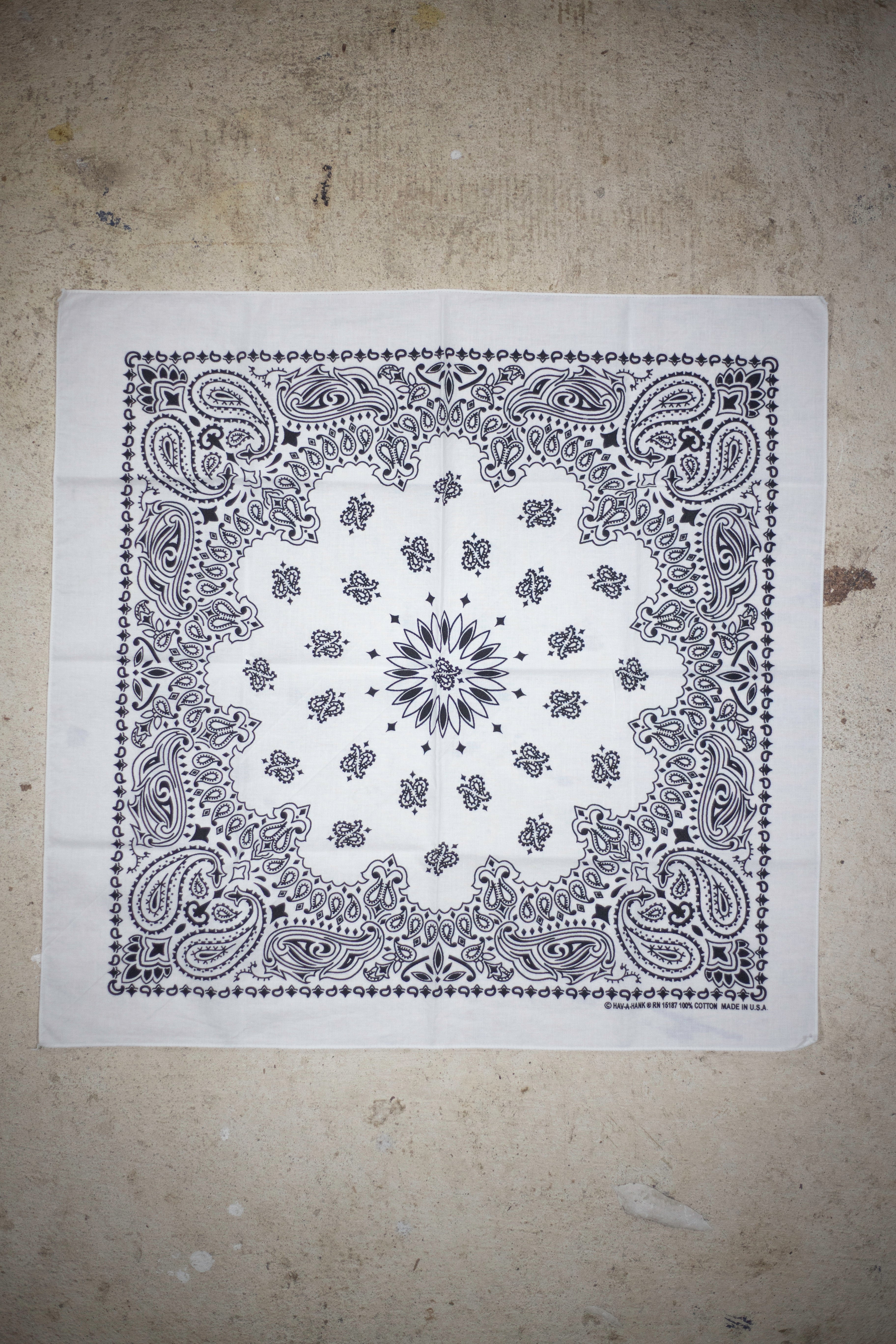 80's Hav-A-Hank RN 15187 Bandana