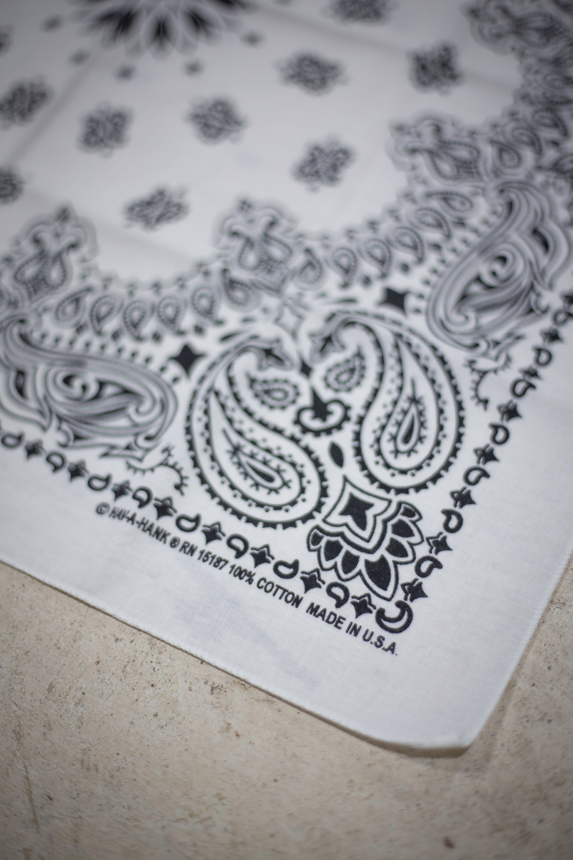 80's Hav-A-Hank RN 15187 Bandana