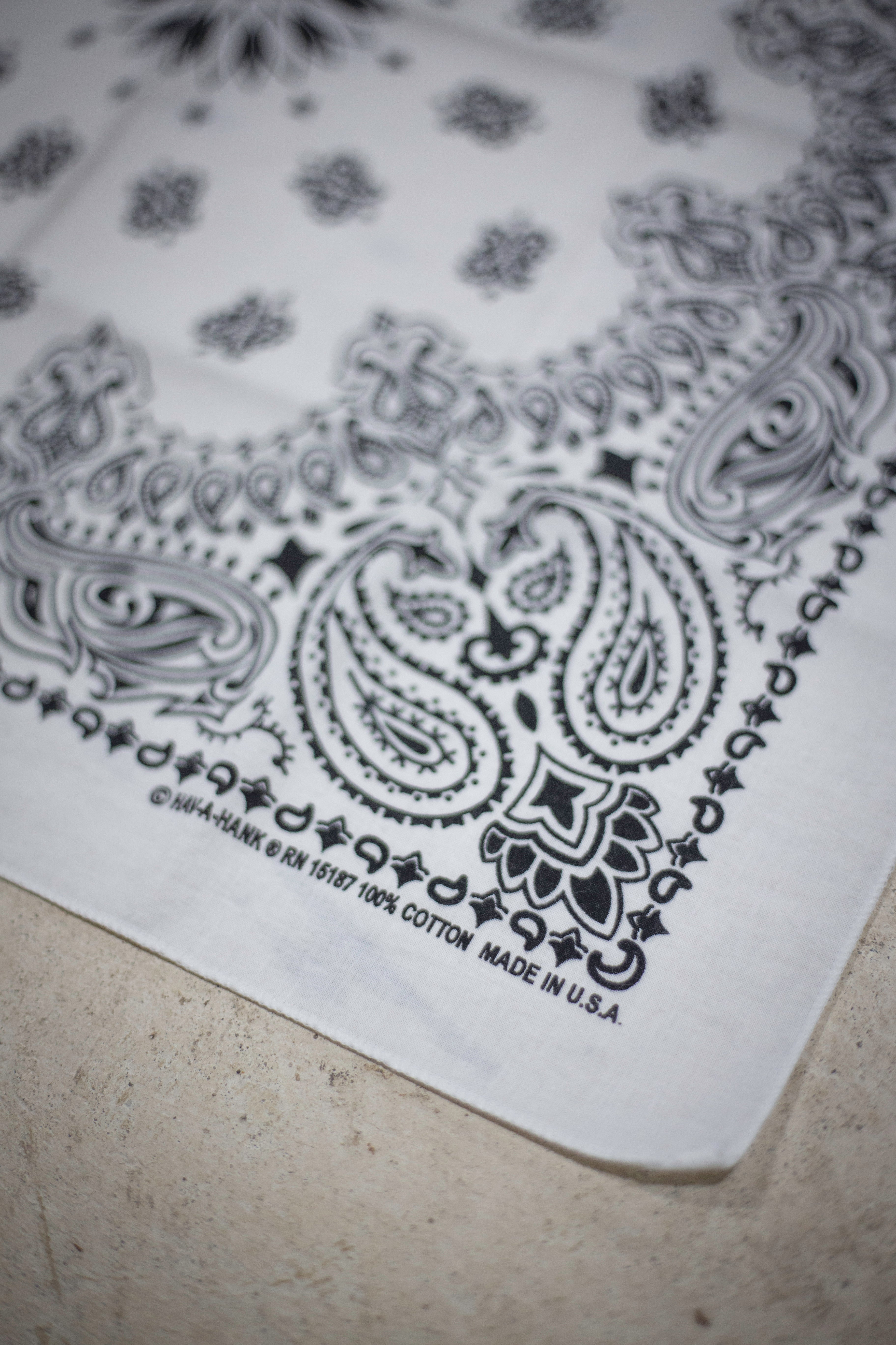 80's Hav-A-Hank RN 15187 Bandana
