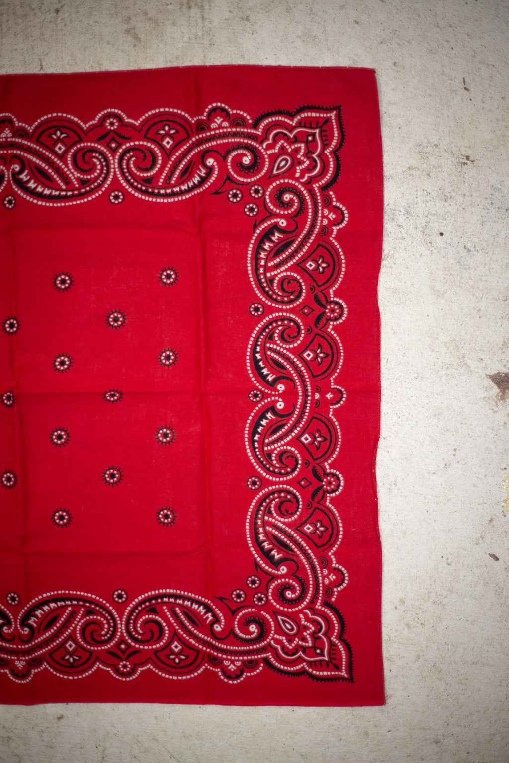 60's Washfast Colors RN 14193 Bandana