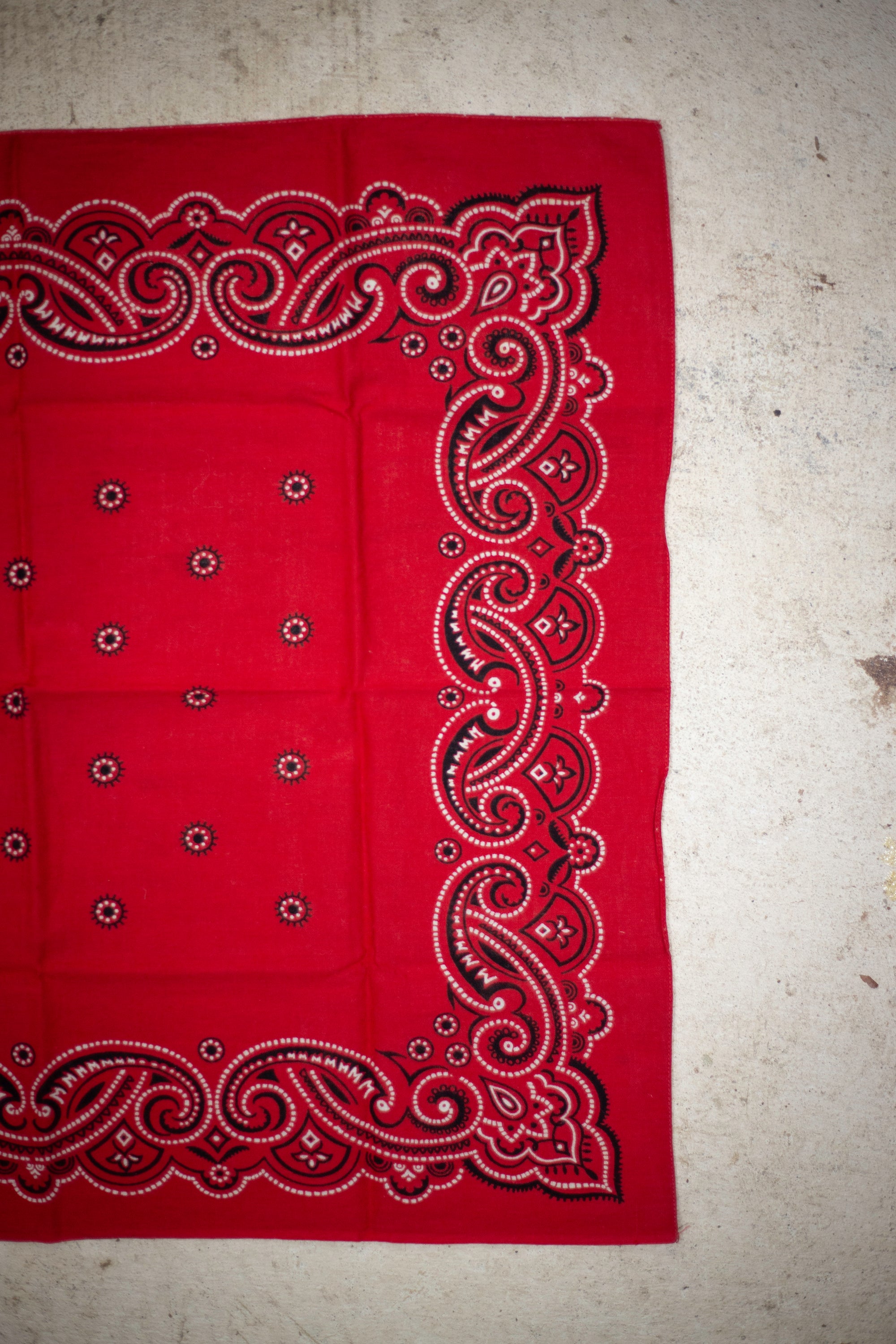 60's Washfast Colors RN 14193 Bandana